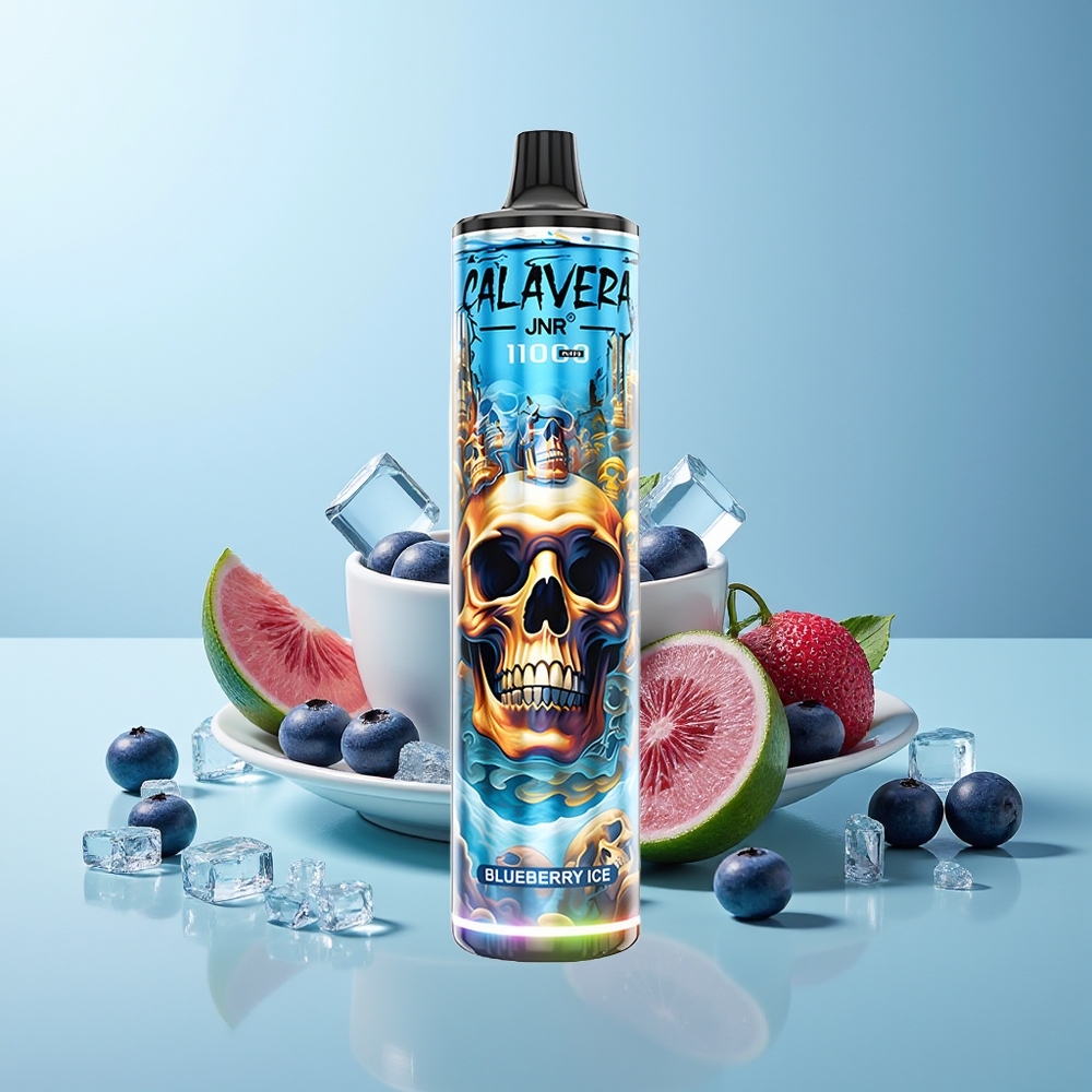 JNR Calavera 11000 Пуфове Диспозъбъл Вейп Боровинков Лед Type-C 850mAh 21ml 1.0ohm Mesh