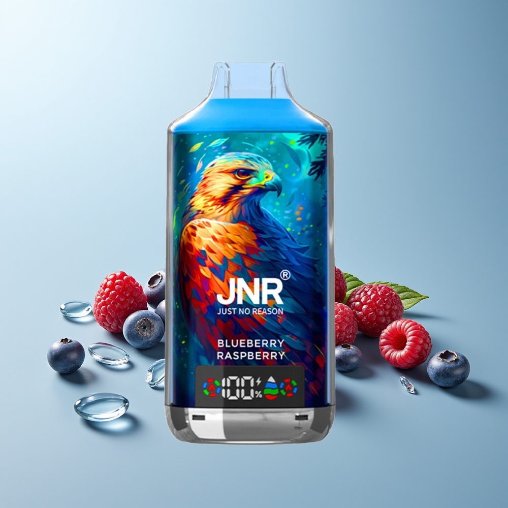 JNR Falcon X 18000 Пуфове Диспозъбъл Вейп Боровинка Малина 750mAh 24ml