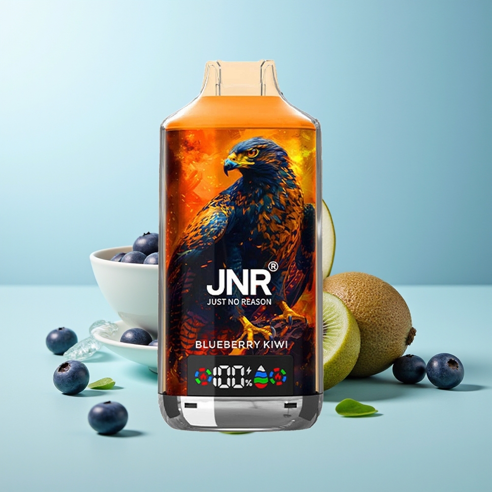 JNR Falcon X 18000 Пуфове Боровинка Киви Dual Mesh Coil Digital Display Type-C 750mAh 24ml