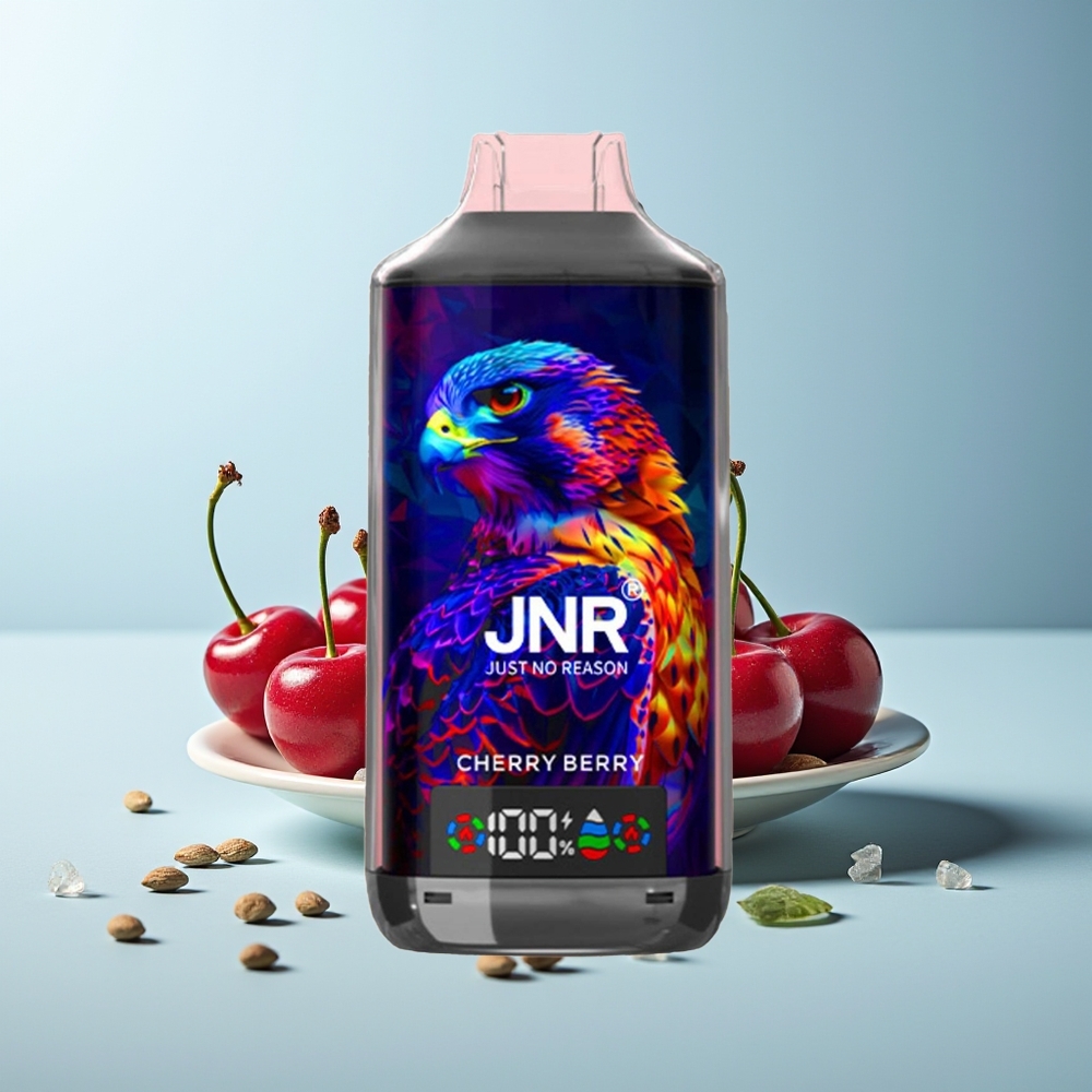 JNR Falcon X 18000 Пуфове Череша Боровинка Dual Mesh Coil Digital Display Type-C 750mAh 24ml