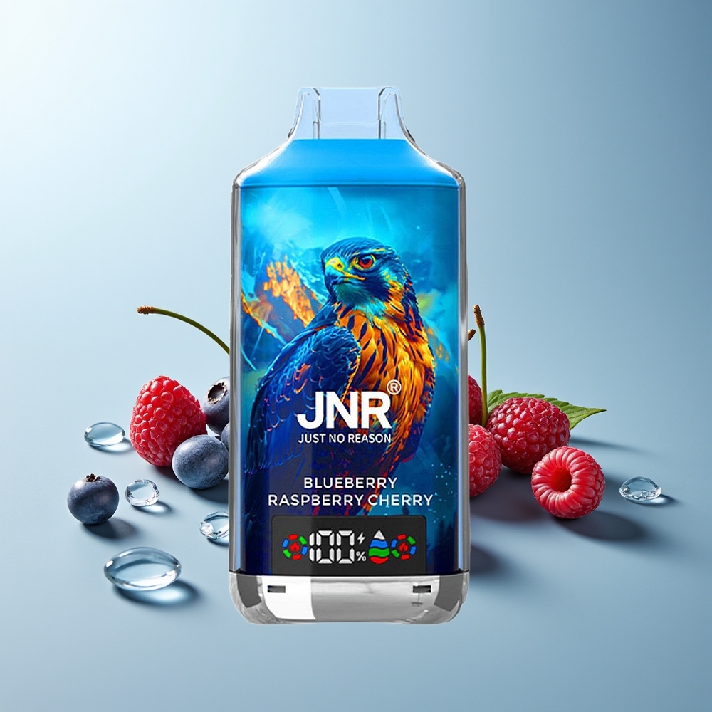 JNR Falcon X 18000 Пуфове Боровинка Малина Череша Dual Mesh Coil Digital Display Type-C