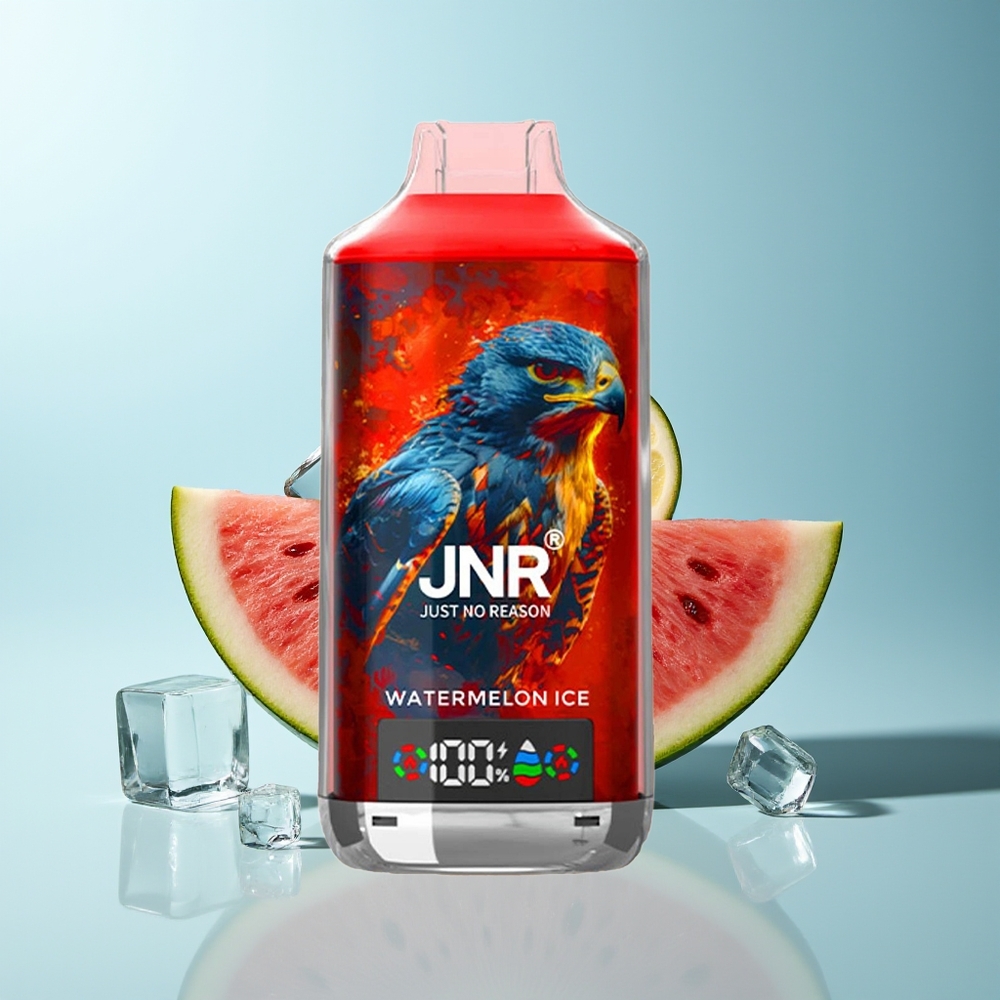 JNR Falcon X 18000 Пуфове Дигитален Дисплей Двойна Мрежа Type-C Бързо Зареждане Диня Лед