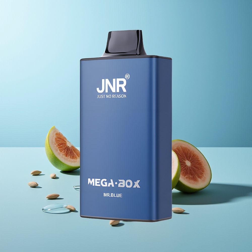 JNR Mega Box 25000 Пуфове Господин Син Dual Mesh Coil Type-C Quick Charge