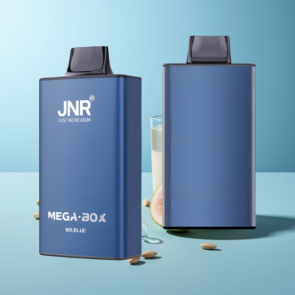 JNR Mega Box 25000 Пуфове Господин Син Dual Mesh Coil Type-C Quick Charge