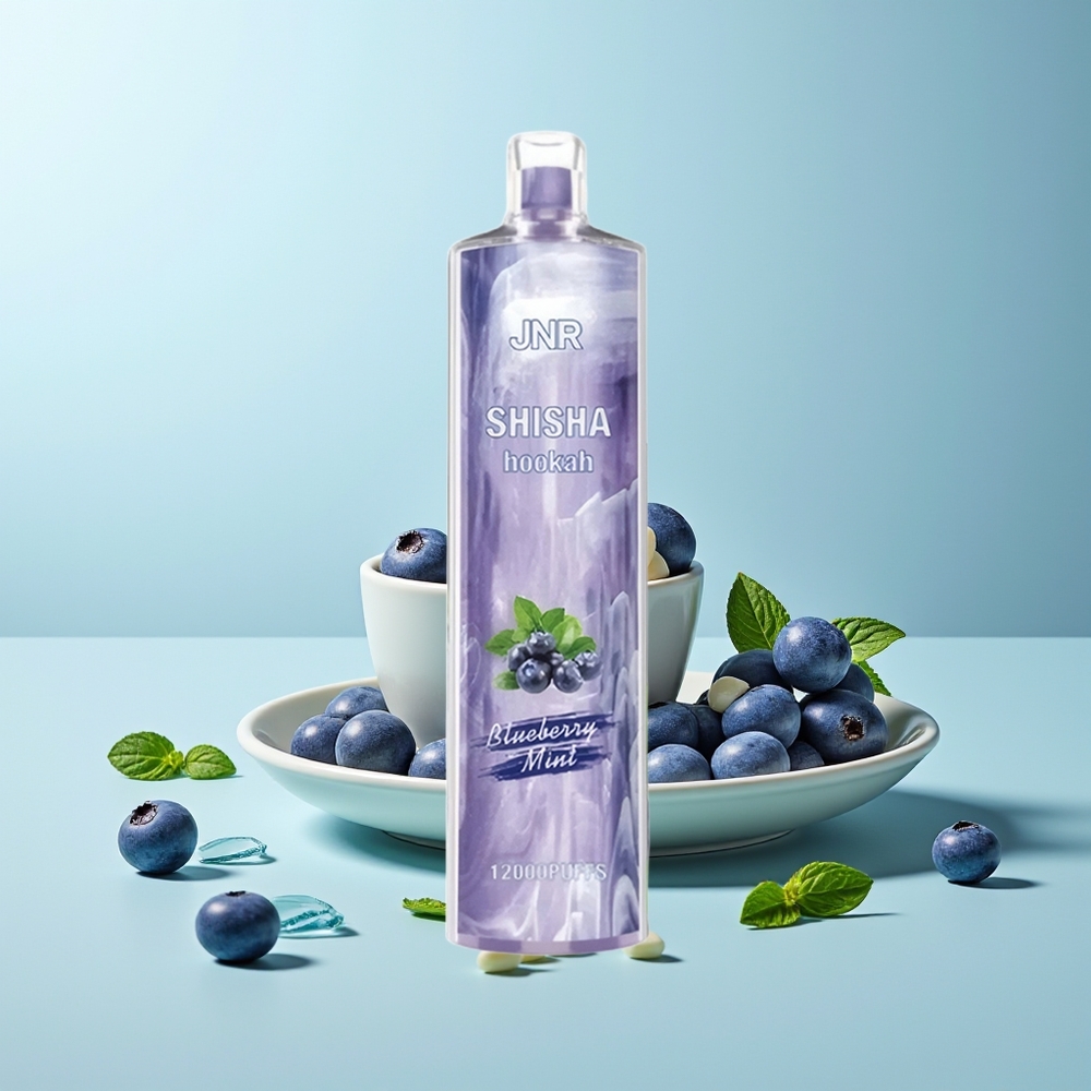 JNR Shisha Hookah 12000 Пуфа 24мл 0.6Ω Bluberry Мента