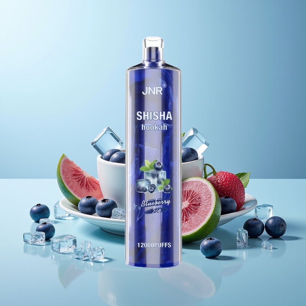JNR Shisha Hookah 12000 Пуфа Десеторка Боровинков Лед Type-C бързо зареждане 24ml 750mAh